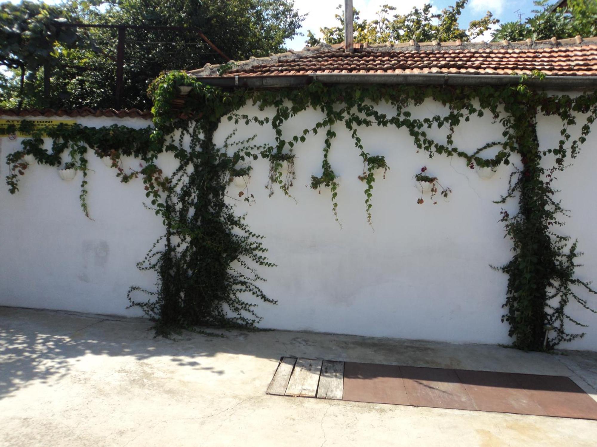 Guest House Drazhev 奥布佐尔 外观 照片
