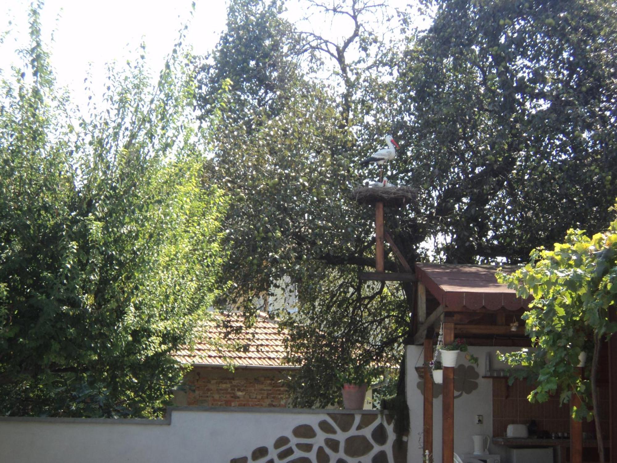 Guest House Drazhev 奥布佐尔 外观 照片
